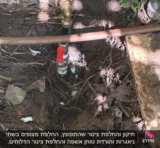ברז מים מותקן באדמה ליד קיר